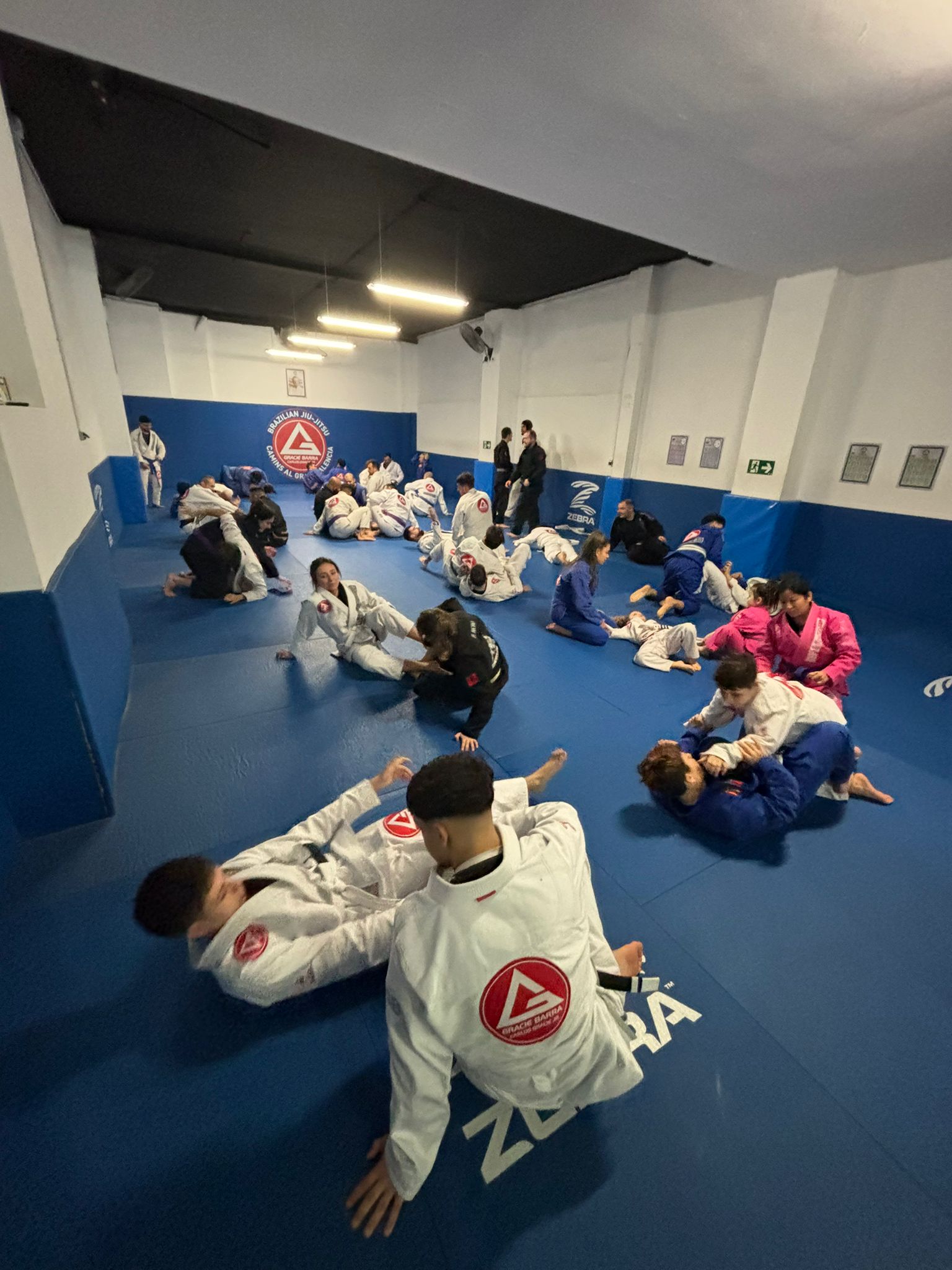 Entrenamiento BJJ